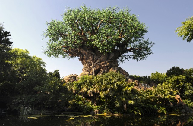 New expansion coming to Disney's Animal Kingdom