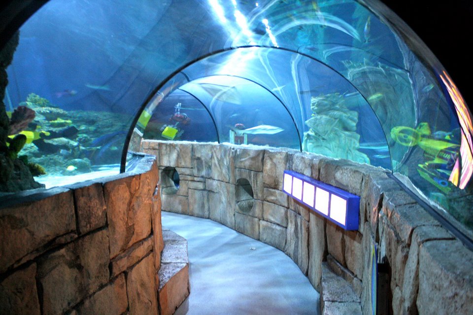 SEA LIFE Aquarium at LEGOLAND California Resort