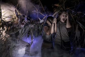 Universal Orlando Discontinues Express Pass Option for Frequent Fear Passes