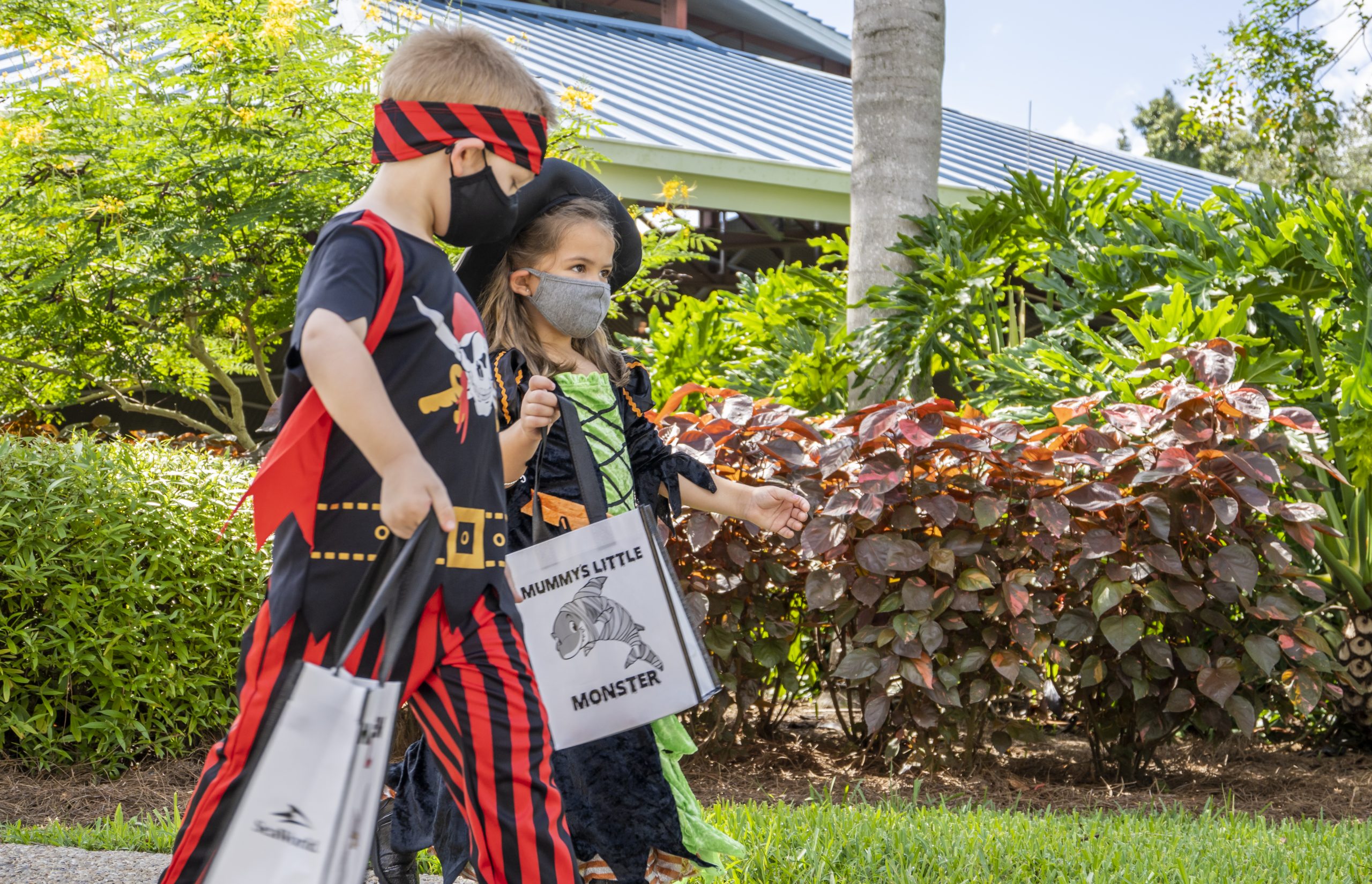SeaWorld Orlando To Bring Back Halloween Spooktacular