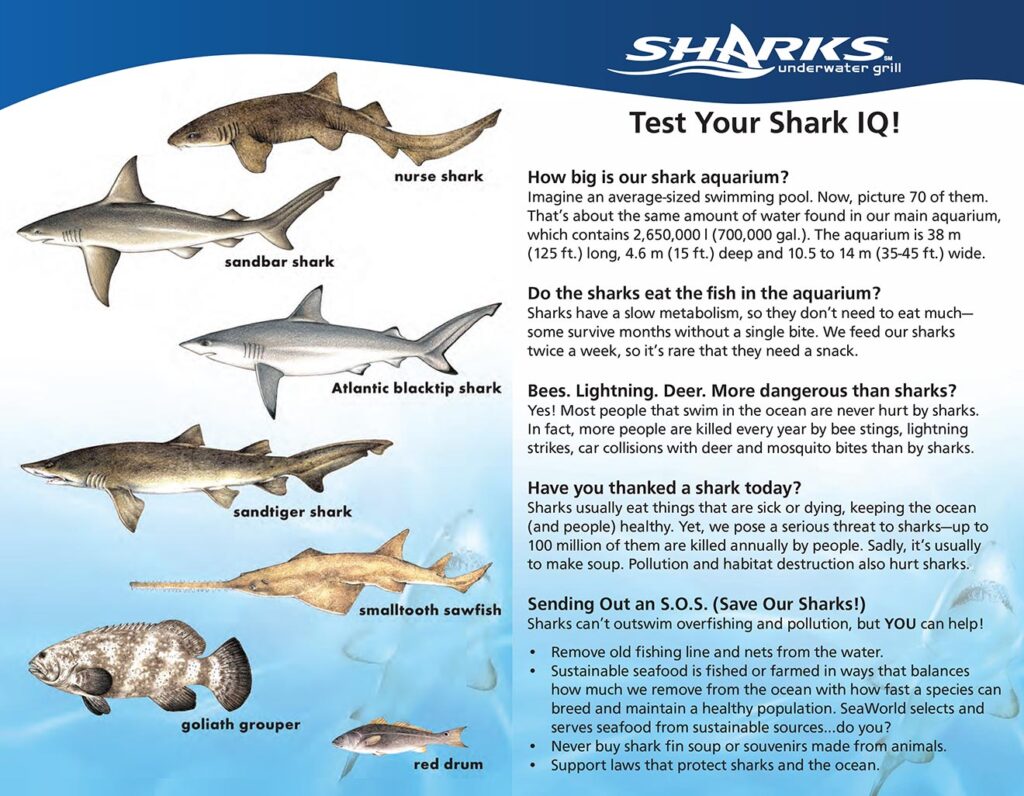 Shark Awareness Day at SeaWorld Orlando - ThrillGeek