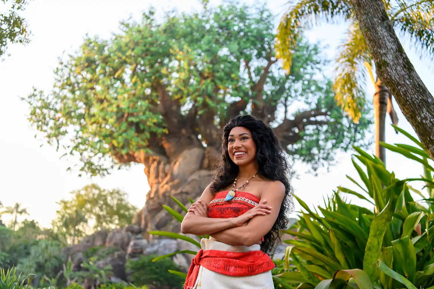 New Character Experiences Coming To Disney World