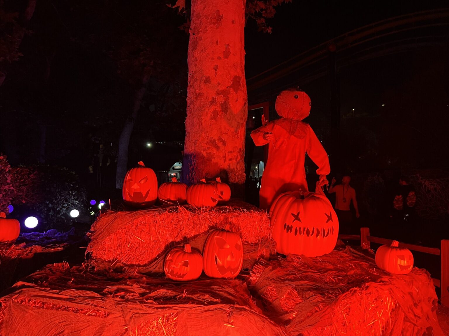 Six Flags Magic Mountain Fright Fest Extreme 2024