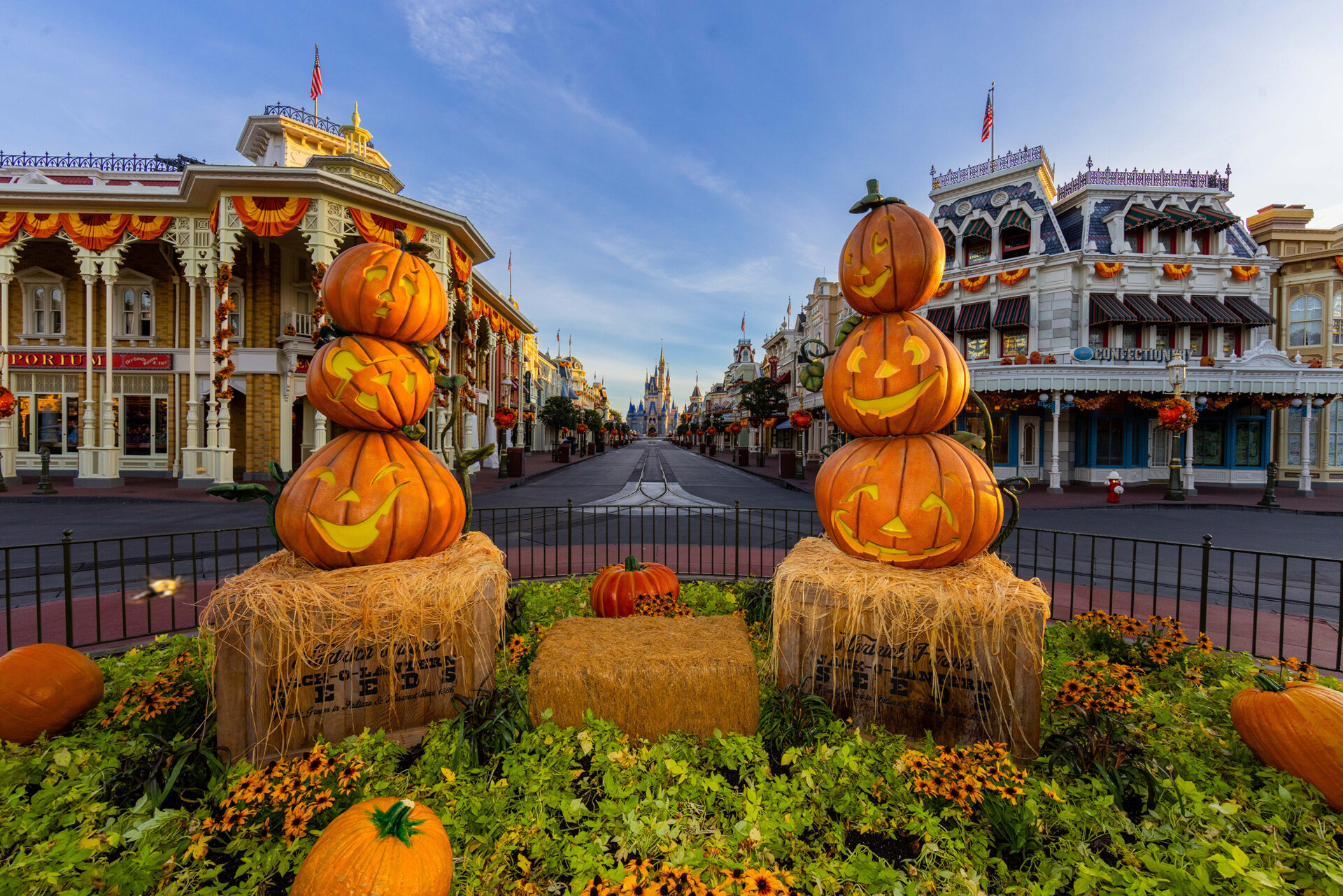 Mickey's Not-So-Scary Halloween Party at the Magic Kingdom