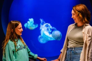 SeaWorld Orlando Offers Florida Teachers Free Admission Through September 2027